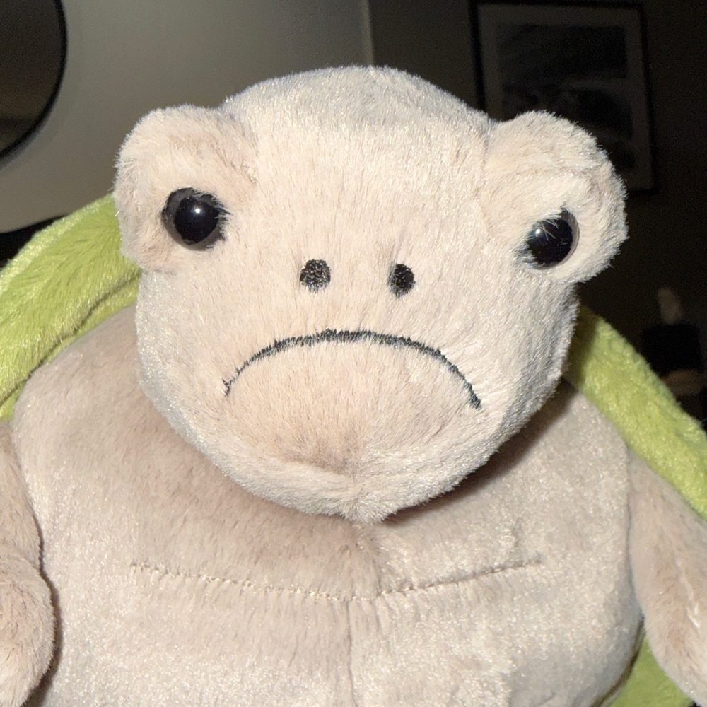 Jellycat Timmy Turtle. NWT - Picture 5 of 8